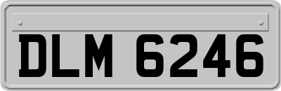 DLM6246