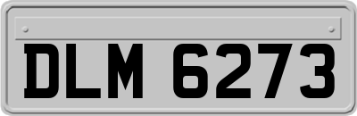 DLM6273