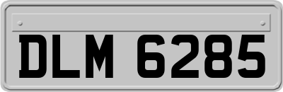 DLM6285