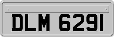 DLM6291
