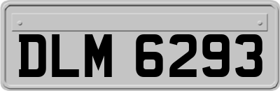 DLM6293