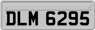 DLM6295