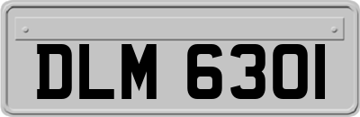 DLM6301