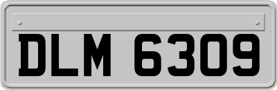 DLM6309