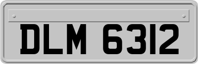 DLM6312