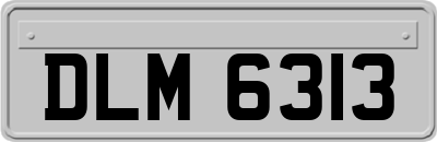 DLM6313
