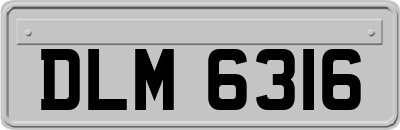 DLM6316