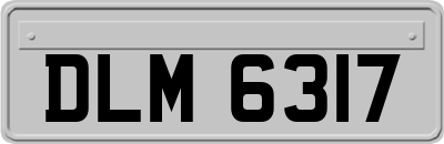 DLM6317