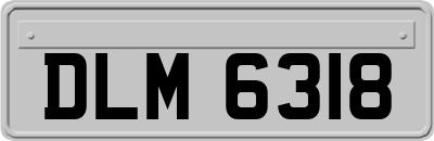 DLM6318