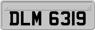 DLM6319