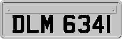 DLM6341