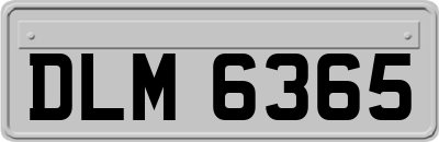 DLM6365