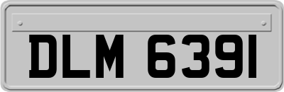 DLM6391