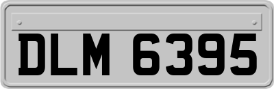 DLM6395