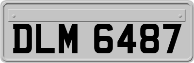 DLM6487