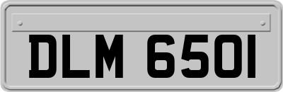 DLM6501