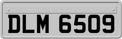 DLM6509