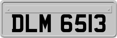 DLM6513