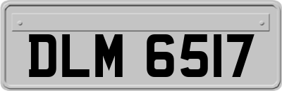 DLM6517