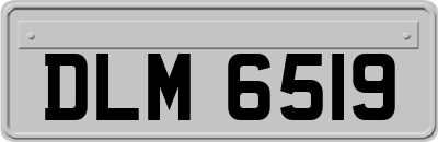 DLM6519