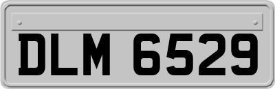 DLM6529