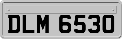 DLM6530