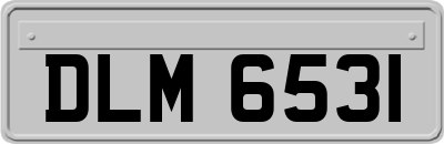 DLM6531