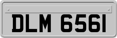 DLM6561
