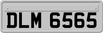 DLM6565