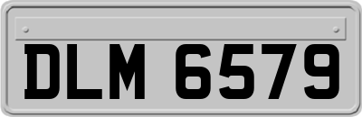 DLM6579
