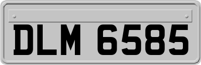 DLM6585