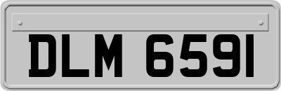 DLM6591