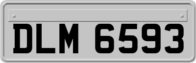 DLM6593