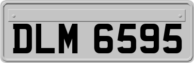 DLM6595