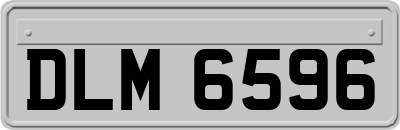 DLM6596