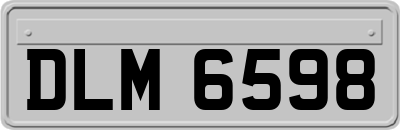 DLM6598