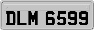 DLM6599