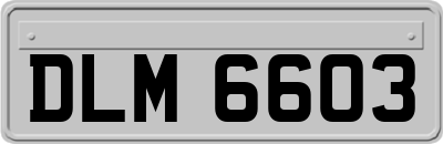 DLM6603