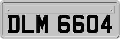 DLM6604