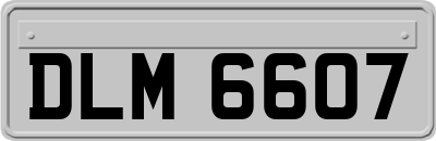 DLM6607