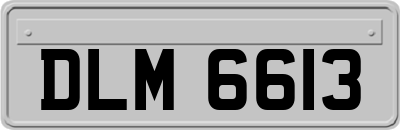 DLM6613