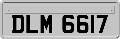 DLM6617
