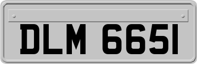 DLM6651