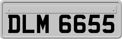 DLM6655