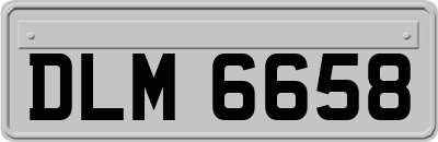 DLM6658