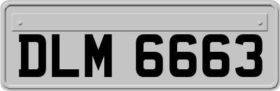 DLM6663