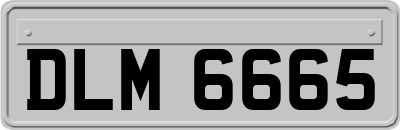 DLM6665