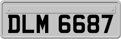 DLM6687