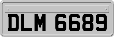 DLM6689