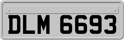 DLM6693